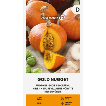 Calabaza Gold Nugget - Semillas