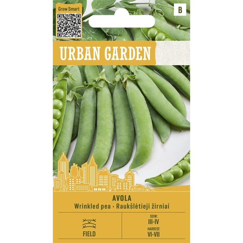 Guisante Avola - Semillas