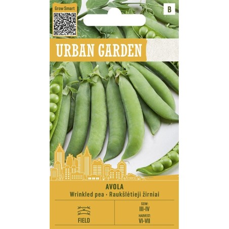 Guisante Avola - Semillas