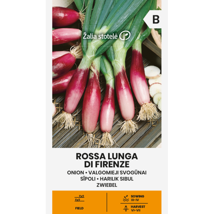 Semillas de Cebolla larga roja de florencia morada purpura violeta