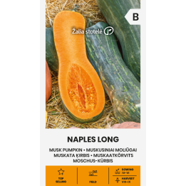 Calabaza moscada larga de Nápoles - Semillas