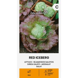 Lechuga Iceberg roja - Semillas