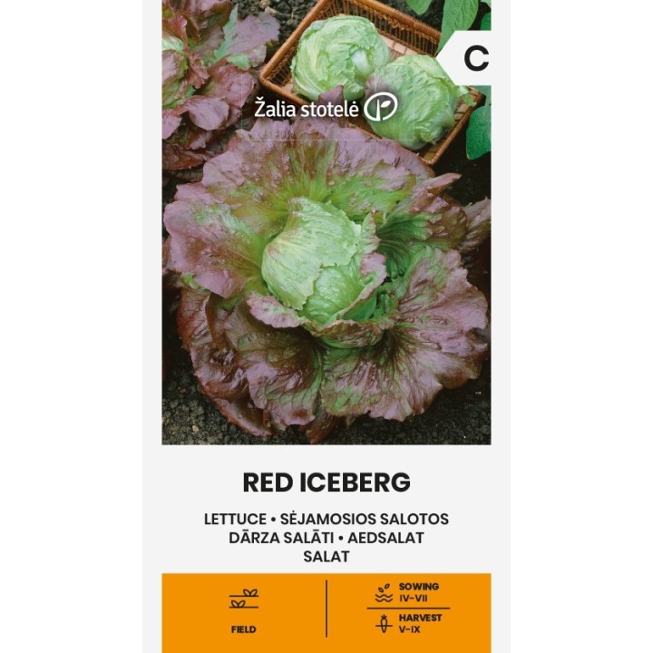 Lechuga Iceberg roja - Semillas