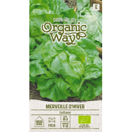 Lechuga Merveille d'Hiver - Semillas