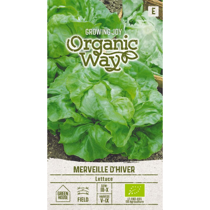 Lechuga Merveille d'Hiver - Semillas