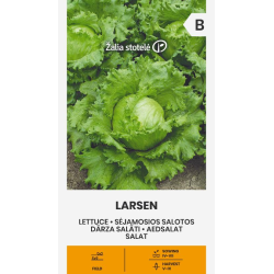 Lechuga Larsen - Semillas