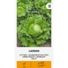 Lechuga Larsen - Semillas