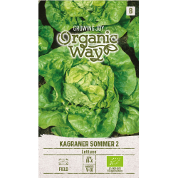 Lechuga Kagraner Sommer 2 - Semillas