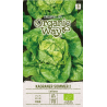Lechuga Kagraner Sommer 2 - Semillas