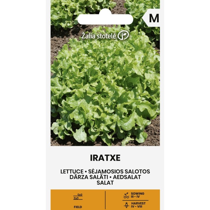 Lechuga Iratxe - Semillas