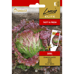 Lechuga Derel - Semillas