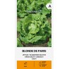 Lechuga Blonde de Paris - Semillas