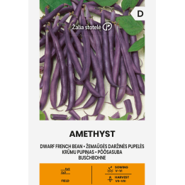 Alubia enana Amethyst - Semillas