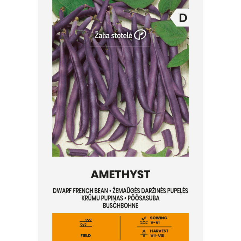 Alubia enana Amethyst - Semillas