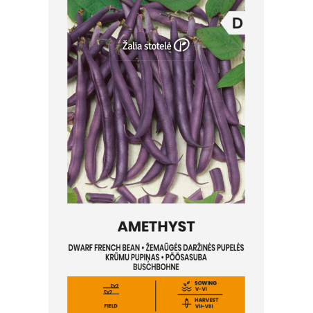 Alubia enana Amethyst - Semillas