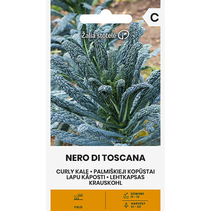 Col rizada Nero di Toscana - Semillas
