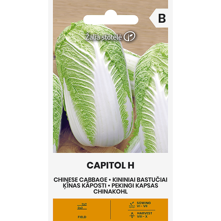 Col china Capitol H - Semillas