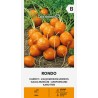 Zanahoria Rondo - Semillas