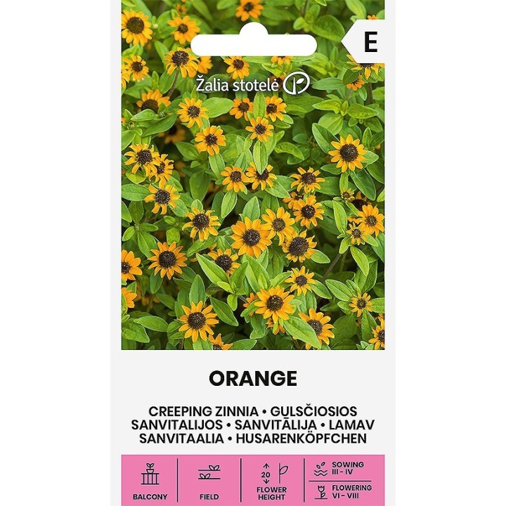 Zinnia rastrera naranja - Semillas