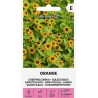 Zinnia rastrera naranja - Semillas