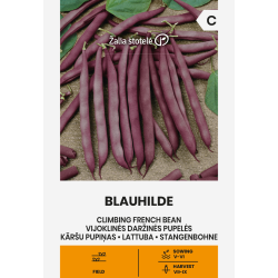 Alubia trepadora Blauhilde - Semillas