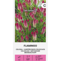 Celosía Flamingo - sobre de semillas