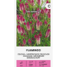 Celosía Flamingo - sobre de semillas