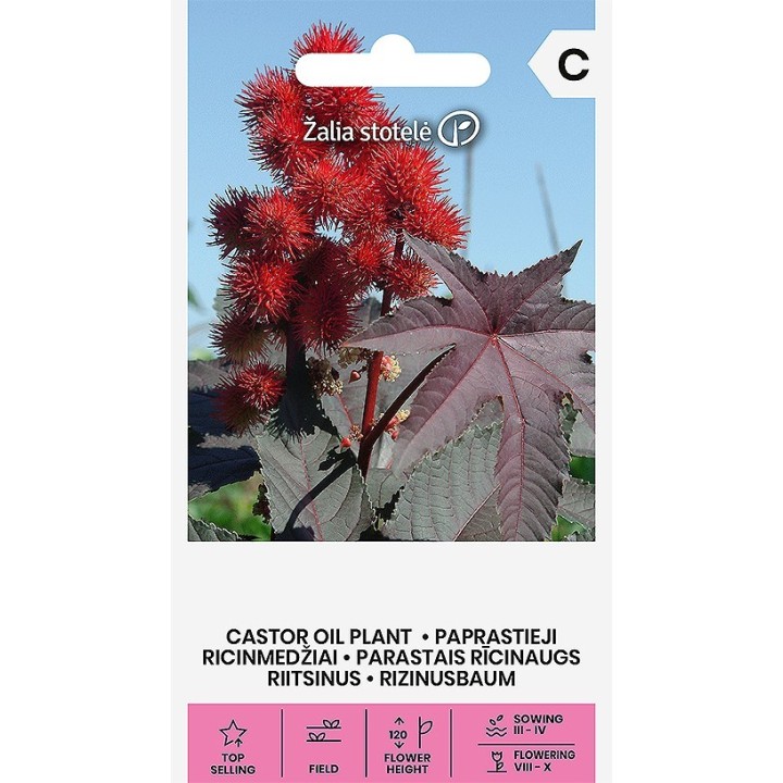Semillas de Ricino rojo, Ricinus communis purpura, planta ricina