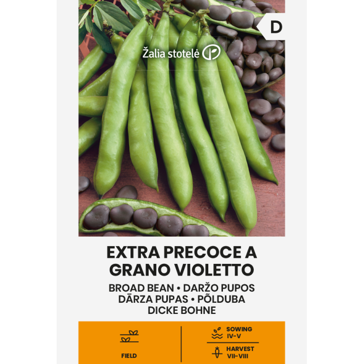 Judía Ancha Extra Temprana Violetto - Semillas