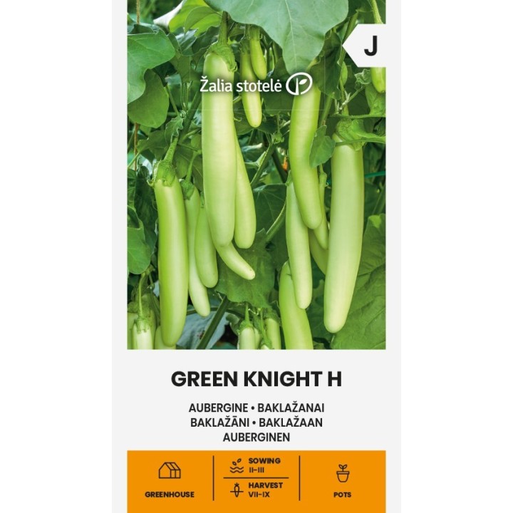 Berenjena Green Knight H - Semillas