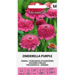 Zinnia Zinderella Púrpura - Semillas