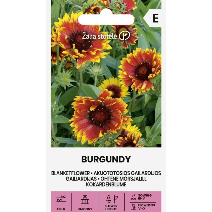 Semillas de Gaillardia pulchella roja 'Ruedas de fuego' | Tienda de semillas