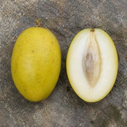 Mango blanco - Semillas