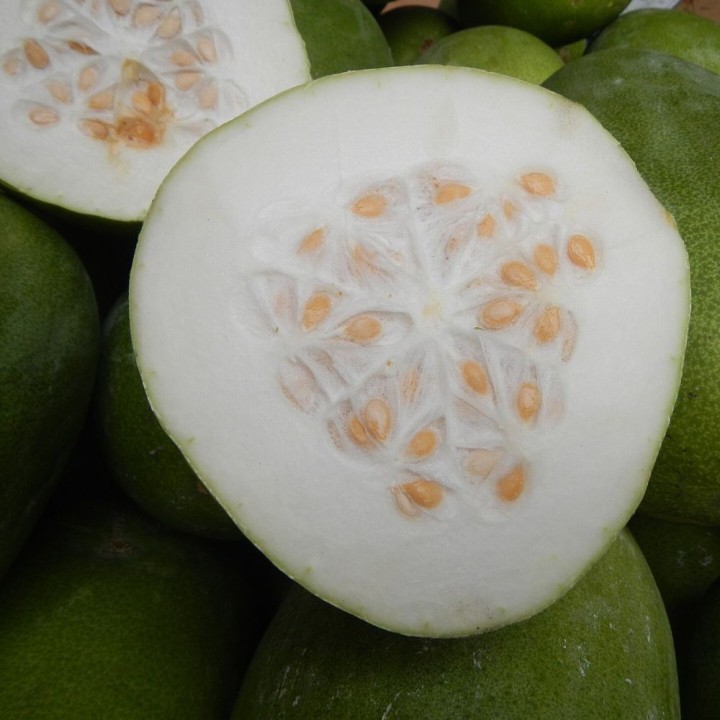 Calabaza de cera - Semillas