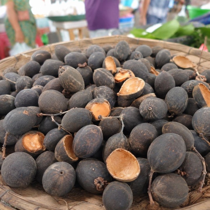 Tamarindo aterciopelado - Semillas