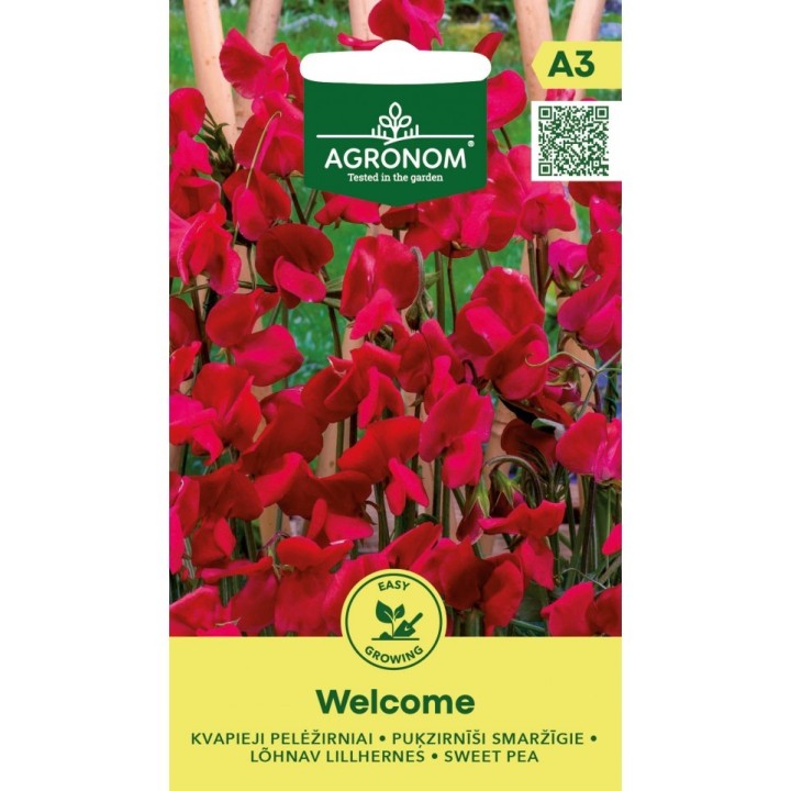 Semillas guisante olor perenne (Lathyrus odoratus Welcome) | EntreSemillas