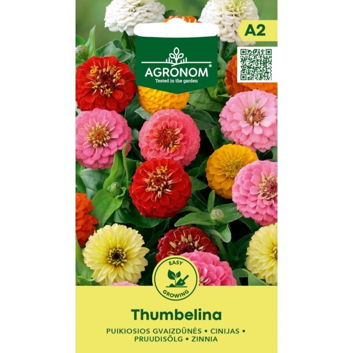 Zinnia, Thumbelina - Semillas