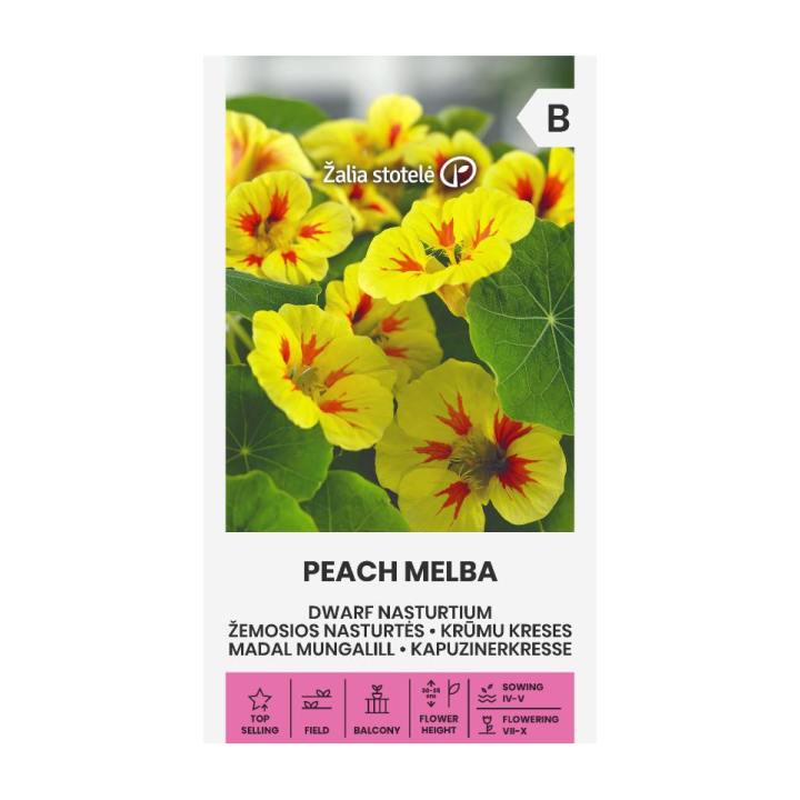 Capuchina, Peach Melba - Semillas
