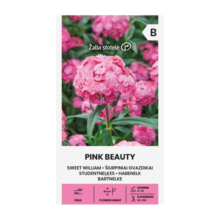 Clavel del poeta, Pink beauty - Semillas