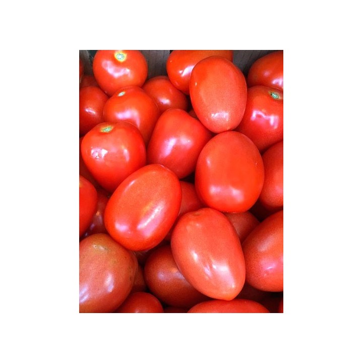 Tomate 'Roma' - Sobre 25 semillas