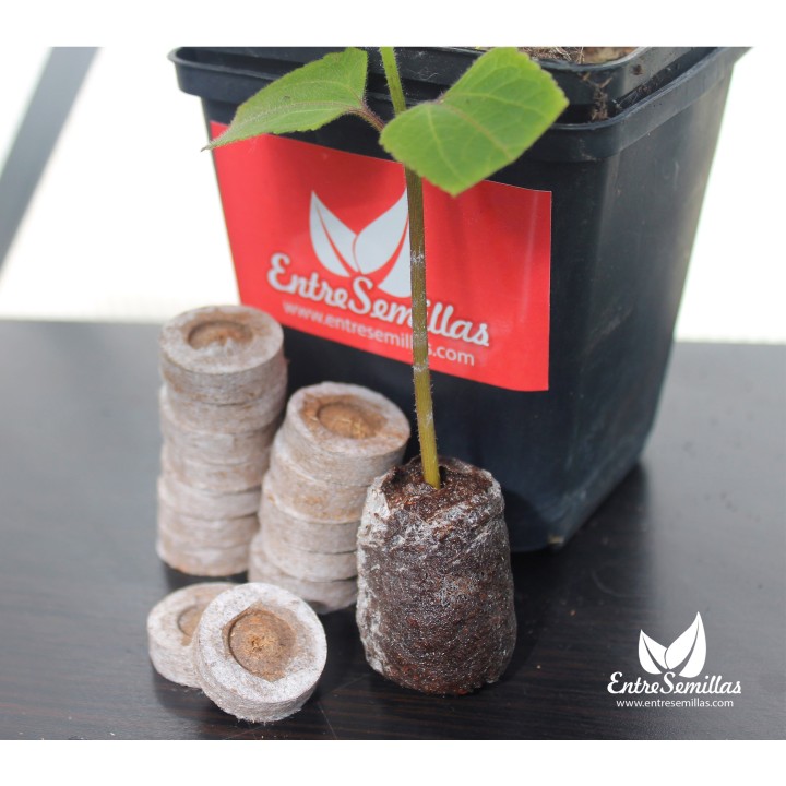 jiffy peat pellets peles para sembrar semillas 44 mm discos