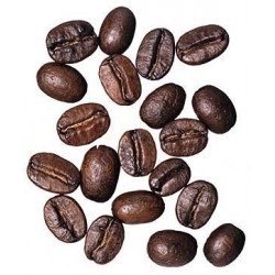 Café / Cafeto arábigo - Sobre 8 semillas
