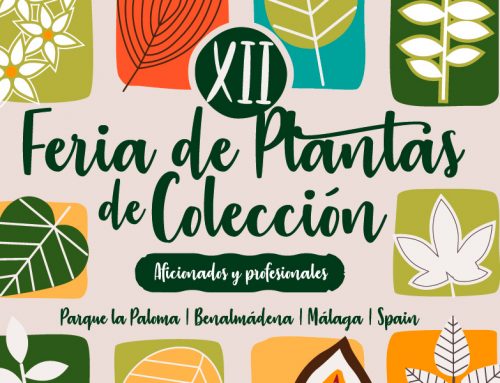 Feria de plantas de colección Benalmádena 2018
