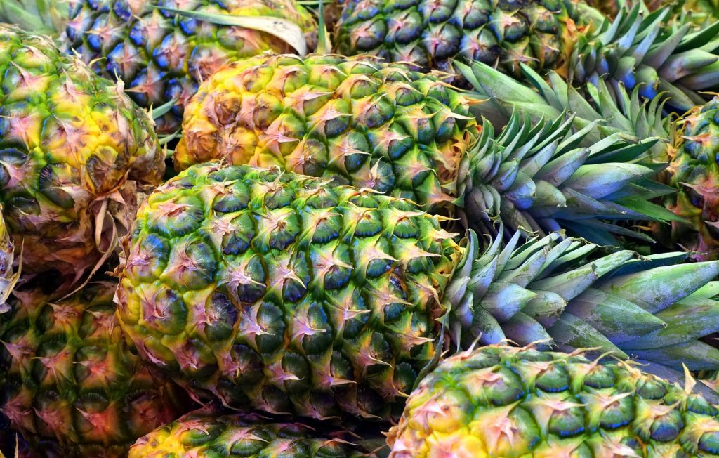 pineapple_planta_de_piña