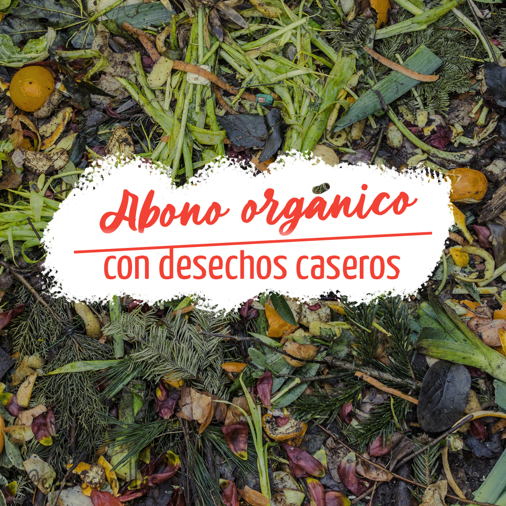 globo Onza controlador Cómo preparar abono orgánico con desechos caseros | Semillas