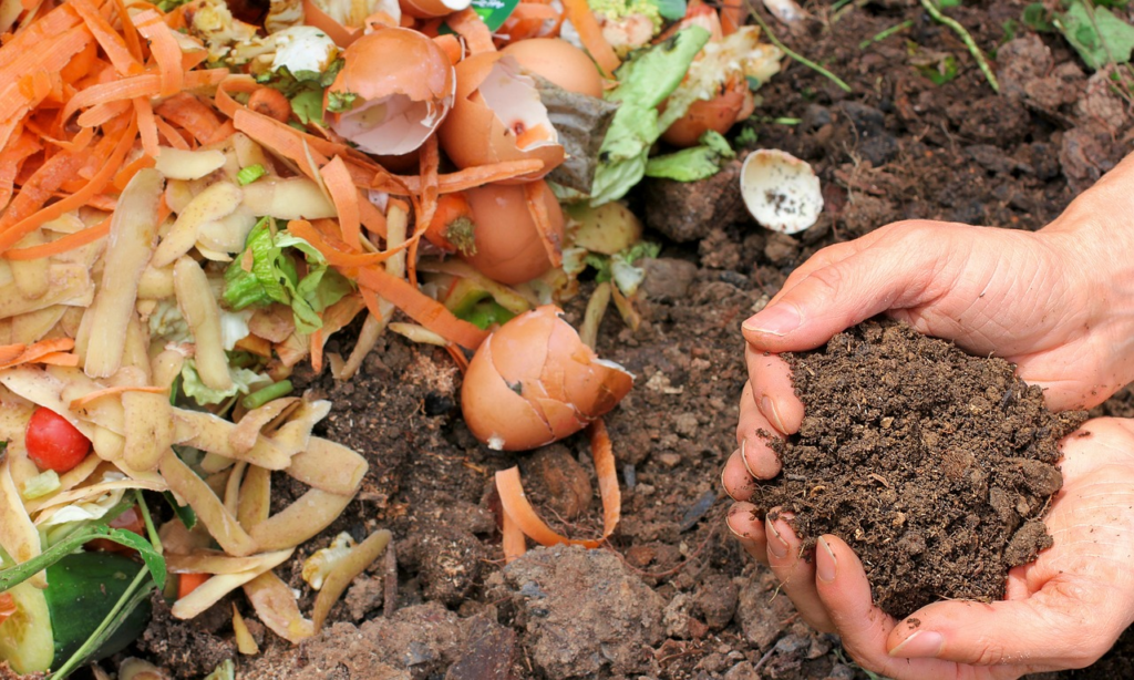 compost con restos caseros