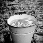 lluvia huerto sostenible