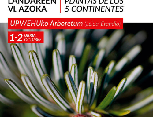 VI Feria de plantas de los 5 continentes (2022)
