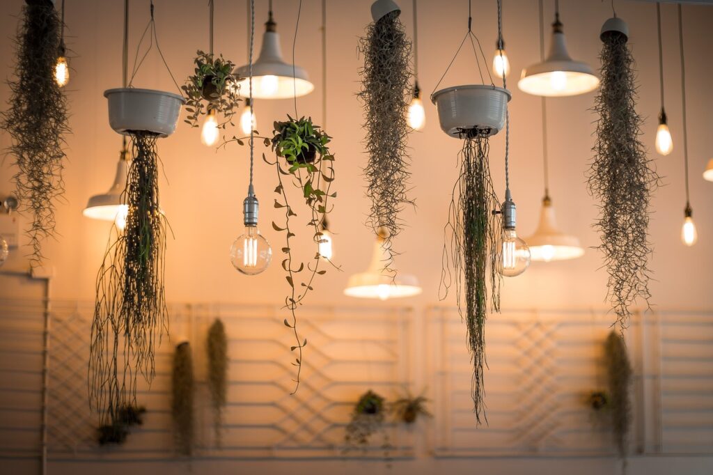 plantas colgantes en el interior de casa con luz