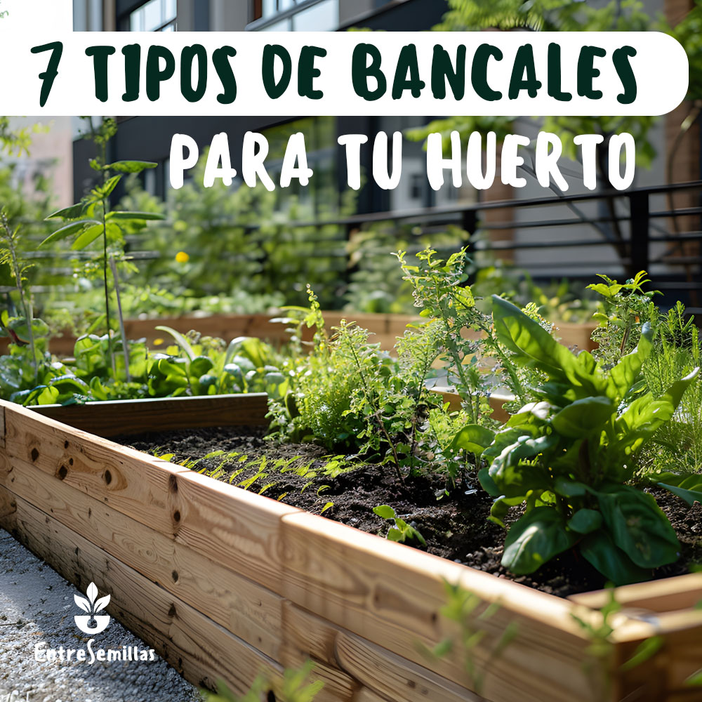 7 tipos de bancales para tu huerto